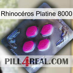 Rhinocéros Platine 8000 02